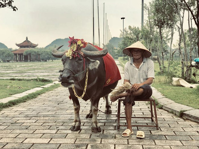 Bất ngờ cuộc hội ngộ sau 15 năm của du khách nước ngoài và người đàn ông chăn trâu ở Ninh Bình - 4