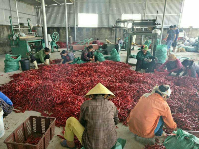 Thị trường - Tiêu dùng - Trung Quốc siết tiểu ngạch, hàng Việt tuột dốc