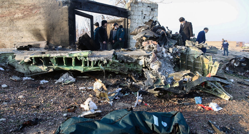 Hiện trường vụ rơi máy bay Boenig 737 khiến 176 người chết.