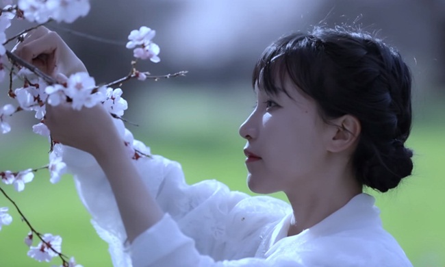 Công ty cũng không tiết lộ Lý Tử Thất hay công ty kiếm được số tiền cụ thể bao nhiêu.