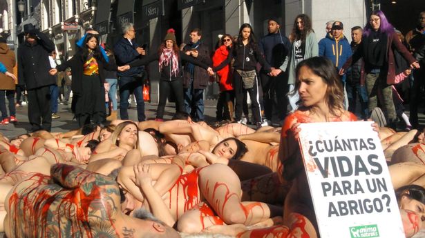 Những người biểu tình phản đối việc khai thác lông thú để làm quần áo.