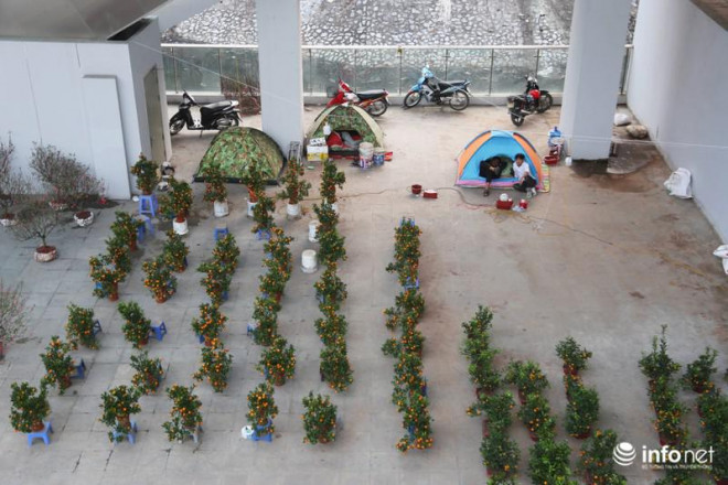 Vỉa hè, sân nhà ga đường sắt trên cao Cát Linh - Hà Đông thành chợ hoa Tết - 10