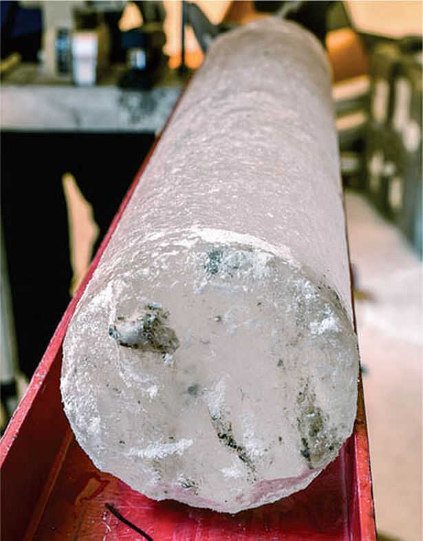 Đây là những virus đã ngủ yên suốt 15.000 năm qua.