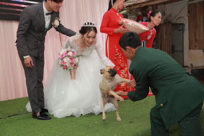 Chú chó lao lên sân khấu đòi chụp ảnh với cô dâu nhưng bị bế xuống, vẻ mặt khiến tất cả không thể nhịn cười - 1