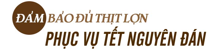 Tăng phi mã, đắt hơn thịt bò, giá lợn Tết &#34;con chuột&#34; sẽ đi về đâu? - 11