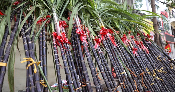 Mía lộc được nhiều người mua với niềm tin mang lại may mắn cho gia đình