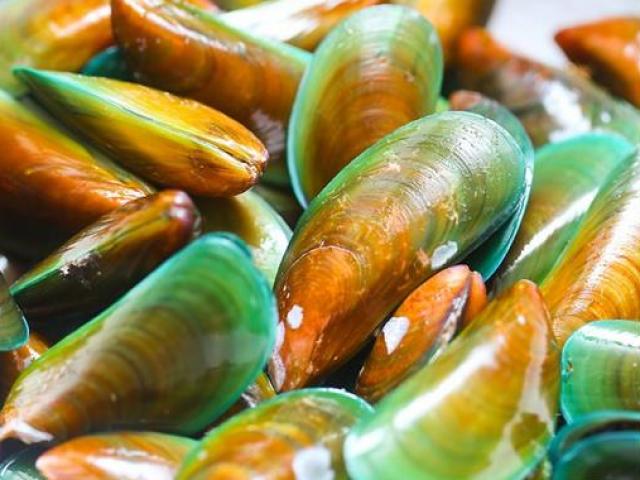 Thị trường - Tiêu dùng - Vẹm xanh ở đây đắt gấp 5,5 lần ở Việt Nam mà vẫn khiến các “đại gia” Việt mê mẩn