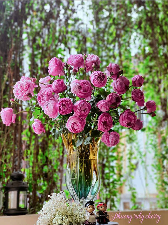 Một lọ hoa hồng đậm màu sẽ là điểm nhấn lý tưởng trong ngôi nhà của bạn