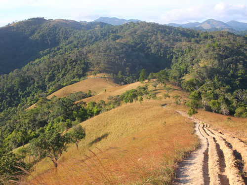 Đường Tà Năng - Phan Dũng mùa cỏ úa