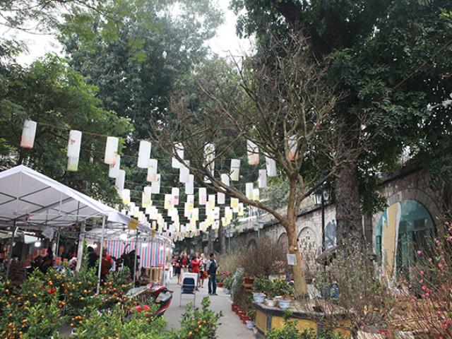 Thị trường - Tiêu dùng - "Choáng" với cây không có lá cũng không có hoa, giá bán lên tới 4 tỷ đồng