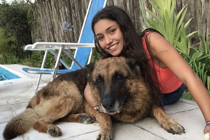 Lara Sanson ôm con chó thuộc giống chó chăn cừu Đức trước khi bị nó cắn