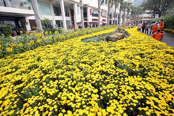 Say đắm ngắm hình ảnh đậm chất làng quê tràn về “phố nhà giàu” ở Sài Gòn - 5