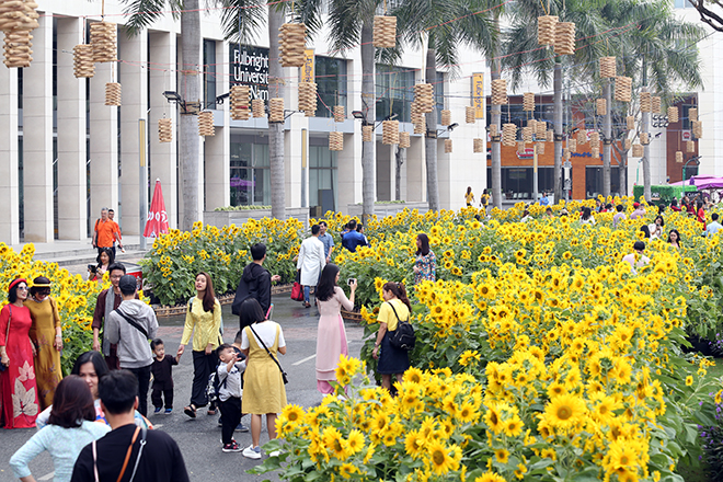 Say đắm ngắm hình ảnh đậm chất làng quê tràn về “phố nhà giàu” ở Sài Gòn - 6