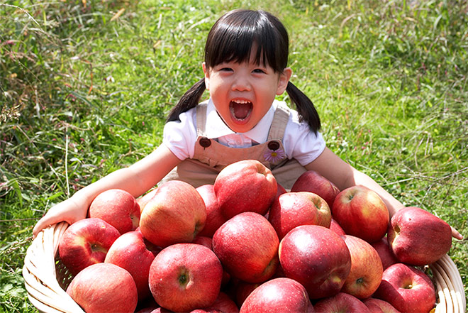 Cooplus chính thức nhập khẩu và phân phối táo Chung-Ju nổi tiếng Hàn Quốc - 3