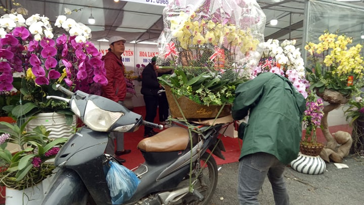 Những ngày cao điểm mỗi ngày người vận chuyển nhận chở cả chục chuyến, dễ dàng thu về cả&nbsp;triệu đồng