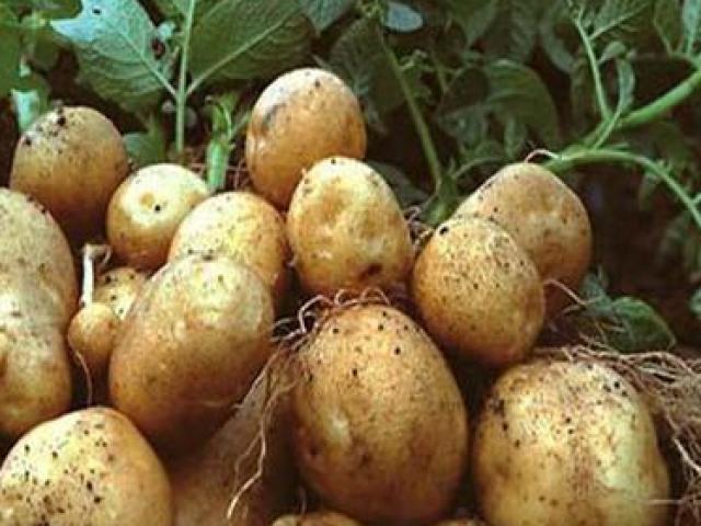 Thị trường - Tiêu dùng - Hóa ra hàng hóa trong siêu thị của Triều Tiên có mức giá như thế này