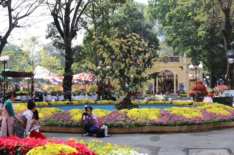  Hồ nước ngay trung tâm Công viên Tao Đàn được đặt một gốc mai lâu năm ở giữa và trang trí hoa xung quanh.