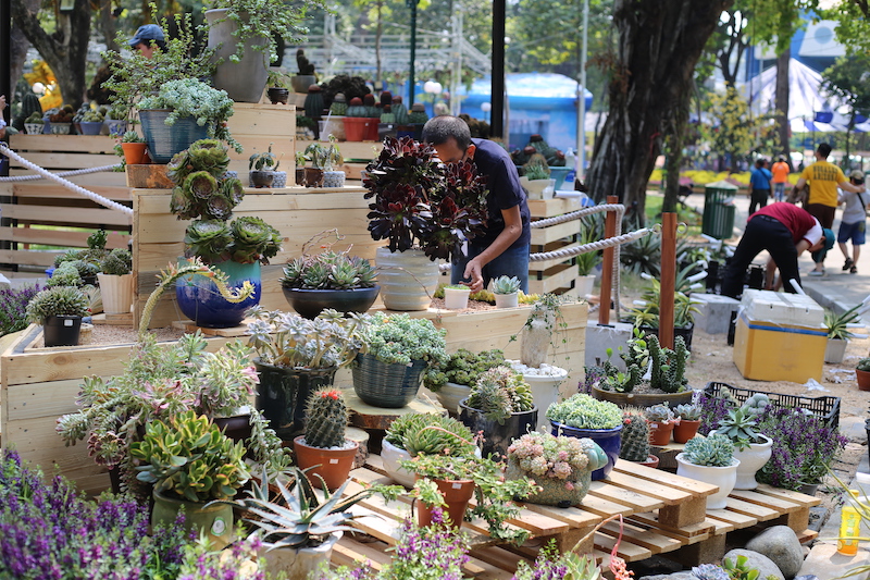  Xương rồng nghe có vẻ nhạt nhẽo, khô khan nhưng khu vực trưng bày xương rồng sẽ khiến du khách phải bất ngờ bởi rất đa dạng các loại khác nhau.