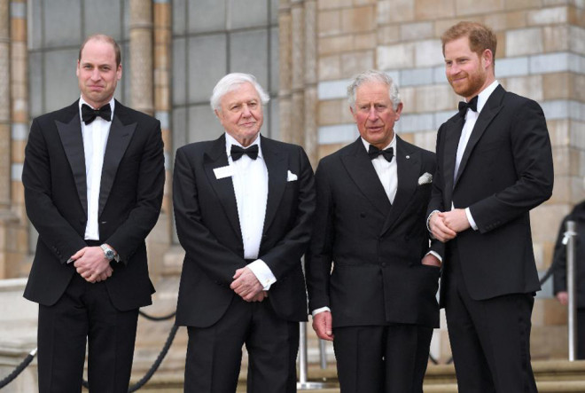 Lần xuất hiện cùng anh trai hiếm hoi gần đây của hoàng tử Harry. Ảnh: WireImage