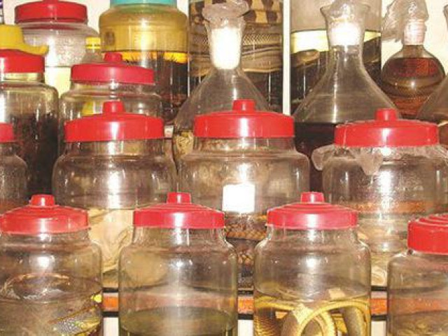 Sức khỏe đời sống - Những gia đình có bình rượu ngâm nên biết điều này để không nguy hại khi uống dịp Tết