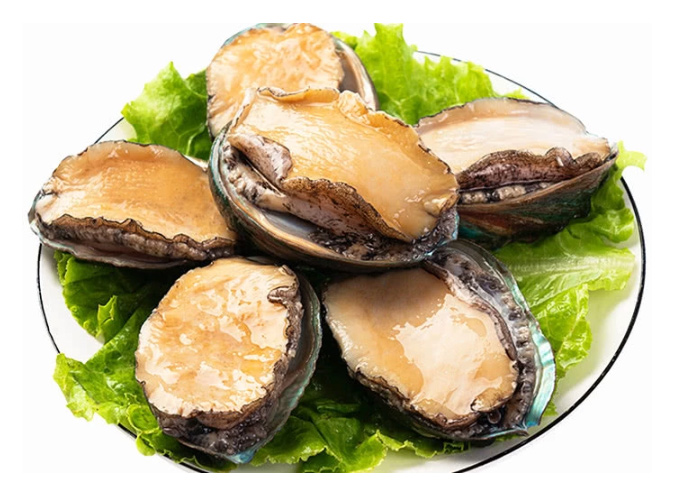 Bào ngư tại Trung Quốc được bán rẻ như rau