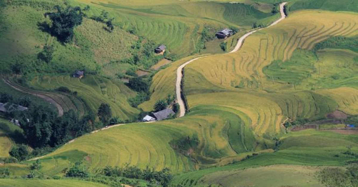 Du lịch - Ruộng bậc thang Mù Cang Chải thành Di tích quốc gia đặc biệt