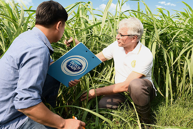 Sữa tươi Cô Gái Hà Lan an toàn hơn chuẩn 11 lần: Tinh hoa từ sự hợp tác của nông dân Hà Lan và Việt Nam - 3