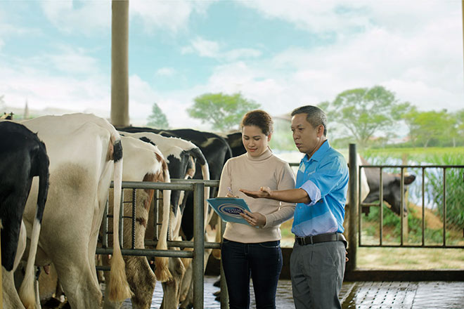 Sữa tươi Cô Gái Hà Lan an toàn hơn chuẩn 11 lần: Tinh hoa từ sự hợp tác của nông dân Hà Lan và Việt Nam - 7
