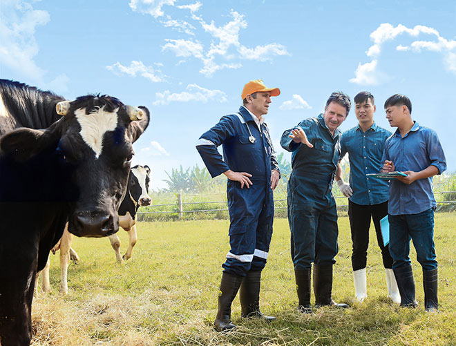 Sữa tươi Cô Gái Hà Lan an toàn hơn chuẩn 11 lần: Tinh hoa từ sự hợp tác của nông dân Hà Lan và Việt Nam - 4
