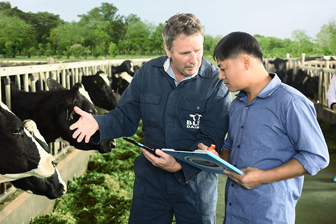 Sữa tươi Cô Gái Hà Lan an toàn hơn chuẩn 11 lần: Tinh hoa từ sự hợp tác của nông dân Hà Lan và Việt Nam - 2