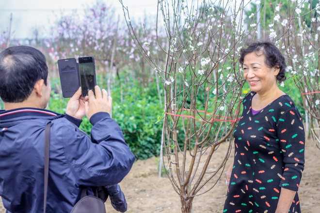 Nhiều du khách hiếu kỳ khi thấy loài hoa lạ mắt này.