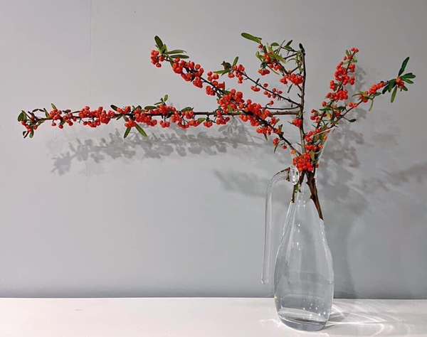 Mỗi bó sẽ có khoảng từ 3-6 cành, giá bán lên tới 300.000 đồng/bó,