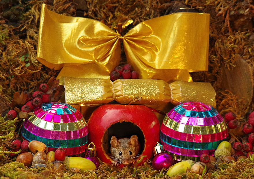 Chùm ảnh: Ngôi làng đẹp như cổ tích dành riêng cho những chú chuột - 12