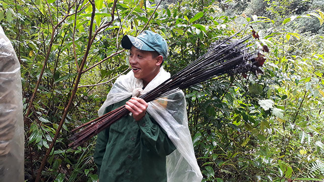 Hàng chục chiếc bẫy sập được nhóm thanh niên vác trên vai.