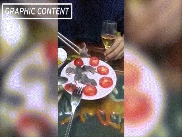 Phi thường - kỳ quặc - Video: Người đàn ông cầm đũa gắp chuột "bao tử" sống bỏ vào miệng gây hãi hùng