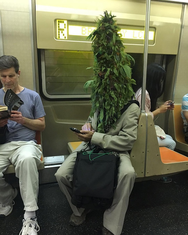 Người cây xuất hiện trên tàu điện ngầm.