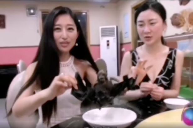 Wang cầm trên tay nguyên một con dơi đã nấu chín.