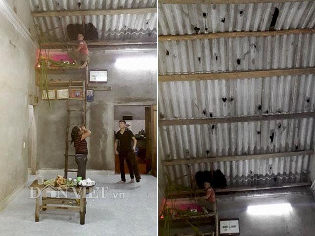 Tin tức trong ngày - Ở vùng bị "ông trời ném đá”: Chúc Tết nhau trên... nóc nhà!