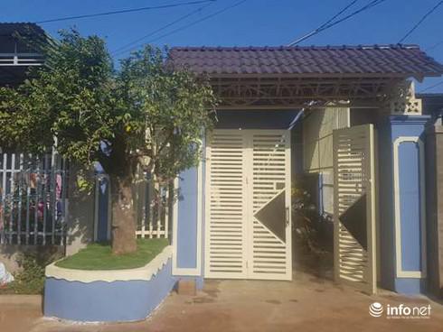 Cây khế được trồng trước nhà anh D.