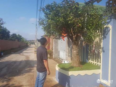 Nhiều người chơi khế thường xuyên đến xem