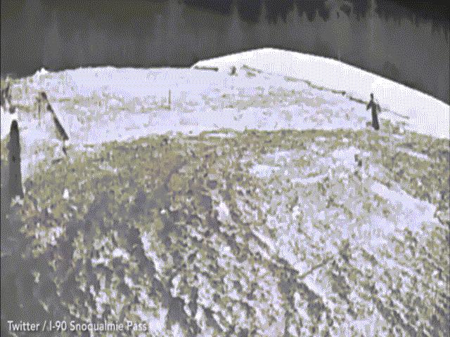 Phi thường - kỳ quặc - Lộ video quái vật “Chân to” bước đi trên cánh đồng tuyết ở Mỹ?