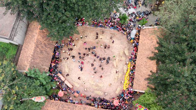 Ngày 28/1, hơn 20 con trâu, bò làm bằng rơm rạ đến từ 4 tổ của 2 làng Đồng Vệ và Bích Đại (xã Đại Đồng, Vĩnh Tường, Vĩnh Phúc) tập trung tại miếu để khởi động năm mới với Lễ hội “Trâu rơm bò rạ”.