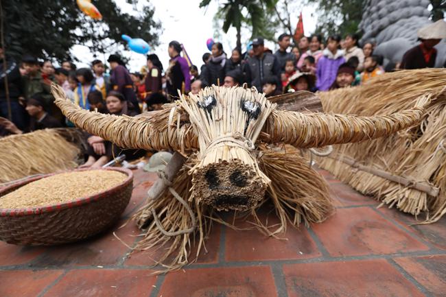 Mỗi nhà có trâu đều được tuyển chọn kỹ lưỡng, gia đình phải “sạch bụi”. Những con trâu tết từ rơm, rạ chính là chiếc áo khoác.