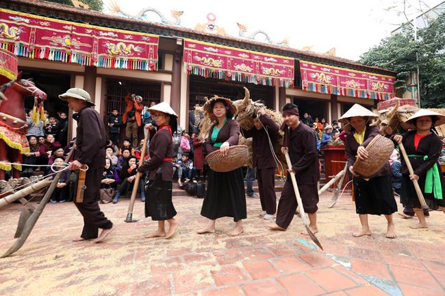 Người đi cấy, trâu bò đi cày tưng bừng, vui nhộn tưng bừng lễ hội.