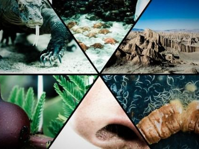 Sức khỏe đời sống - Những thứ kinh dị này lại mang thần dược chống siêu bệnh