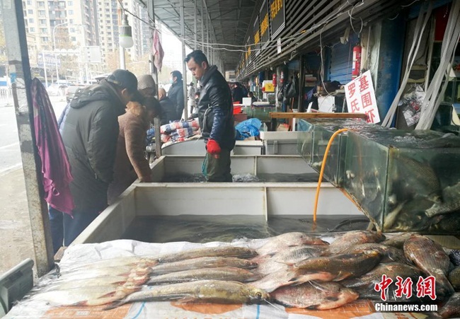 Giữa lúc dịch bệnh viêm phổi cấp do chủng mới của virus corona bùng phát, khu chợ hải sản Huanan ở trung tâm Vũ Hán (Hồ Bắc, Trung Quốc) được coi là nơi khởi phát của virus này.