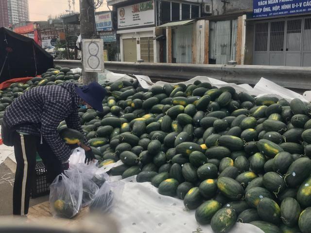 Thị trường - Tiêu dùng - Đầu năm, "tê tái" nhìn dưa hấu rớt giá, chất đống ngoài đường Hà Nội vì... Corona