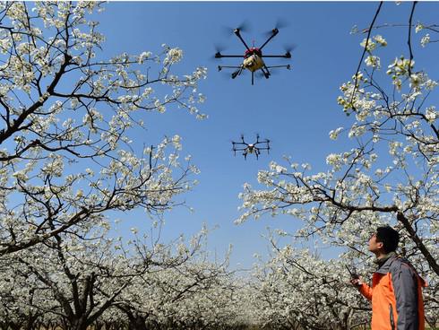 Trung Quốc dùng UAV nhắc nhở người dân đeo khẩu trang phòng dịch virus corona. (Ảnh minh họa)