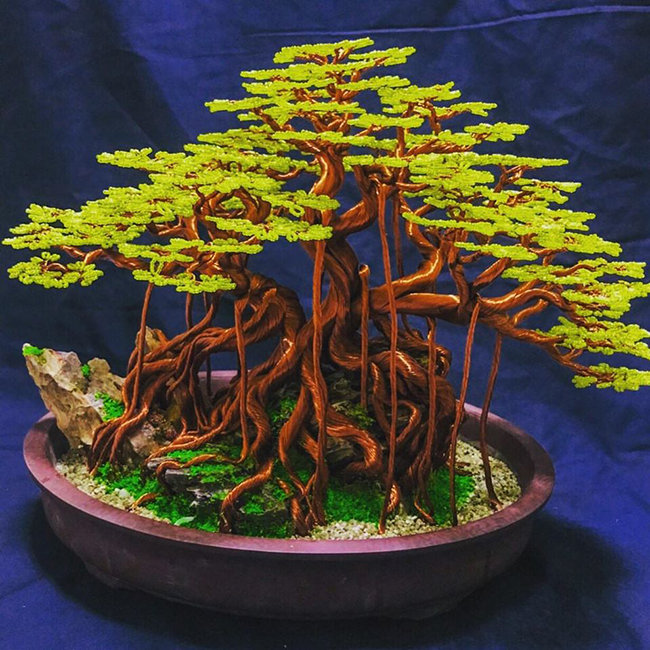 Sắp tới, CLB sẽ sản xuất những cây bonsai cổ thụ cao hơn người phục vụ nhu cầu trưng bày trong các cơ quan xí nghiệp doanh nghiệp lớn.