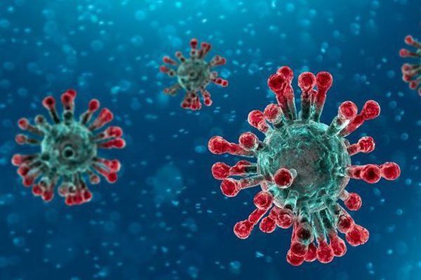 Nhiễm virus Corona có thể tự khỏi như sốt virus và cúm? - 1